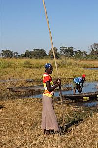 Delta řeky Okavango - typické loďky mokora