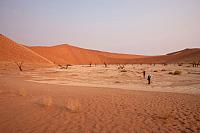 Údolí Deadvlei uprostřed dun pouště Namib