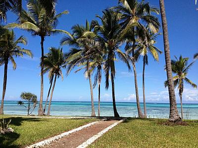Zanzibar – relaxace a koupání na plážích Indického oceánu.